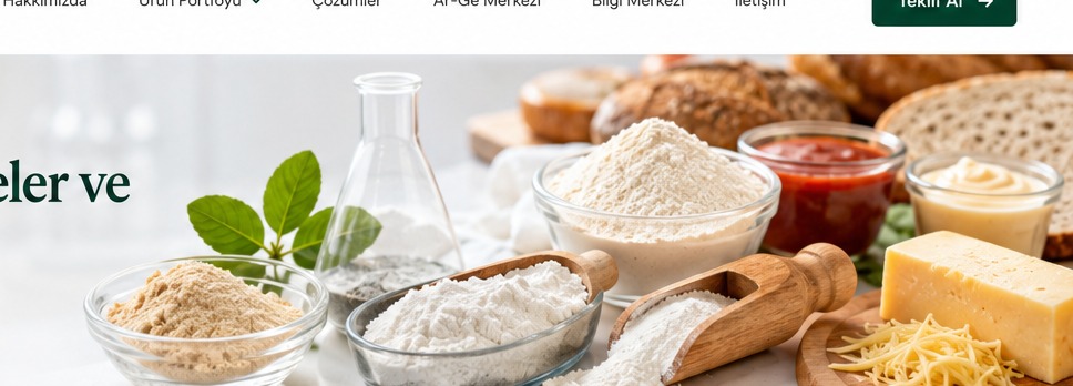 Additiva fonksiyonel gıda hammaddeleri ve gıda uygulamaları